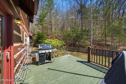 Tiny photo for 250 Highland Trace, Sharps Chapel, TN 37866 (MLS # 1336017)