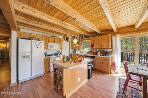 Tiny photo for 250 Highland Trace, Sharps Chapel, TN 37866 (MLS # 1336017)