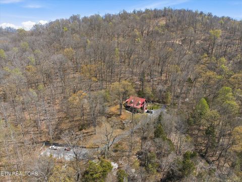 Tiny photo for 250 Highland Trace, Sharps Chapel, TN 37866 (MLS # 1336017)