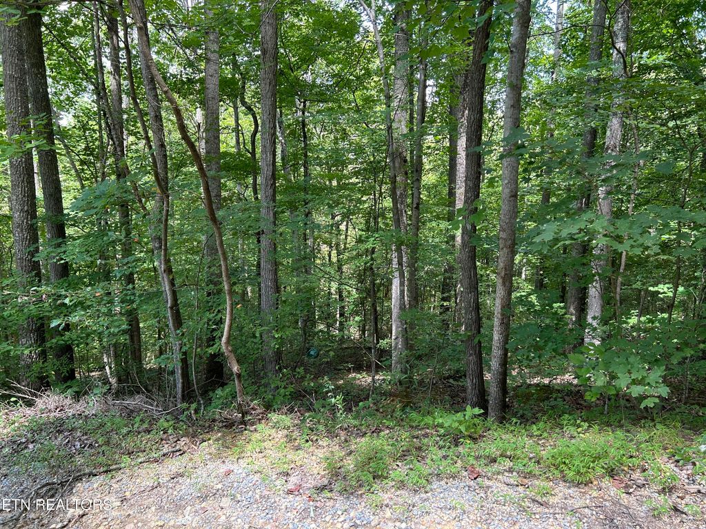 Photo of Meandering Lot 4 Circle, Maynardville, TN 37807 (MLS # 1273622)