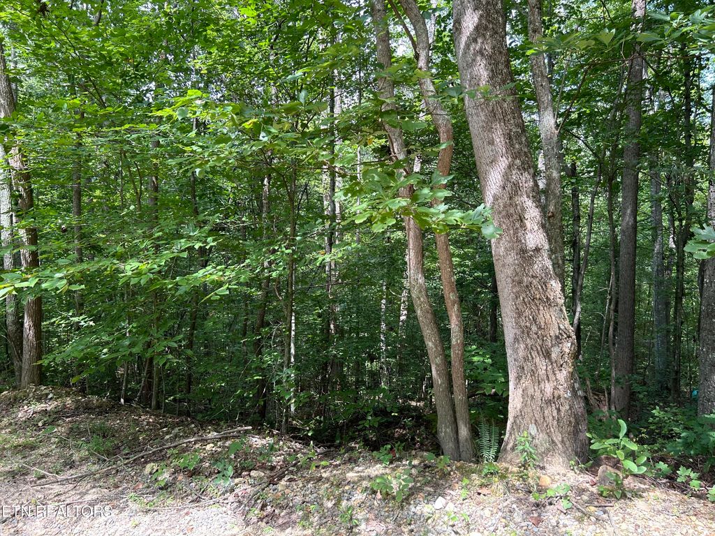 Photo of Meandering Lot 4 Circle, Maynardville, TN 37807 (MLS # 1273622)