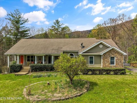 Photo of 117 Cooper Rd, Tallassee, TN 37878 (MLS # 1335764)