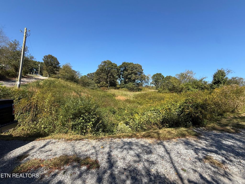 Photo of 426 Foster Rd, Lenoir City, TN 37771 (MLS # 1321310)