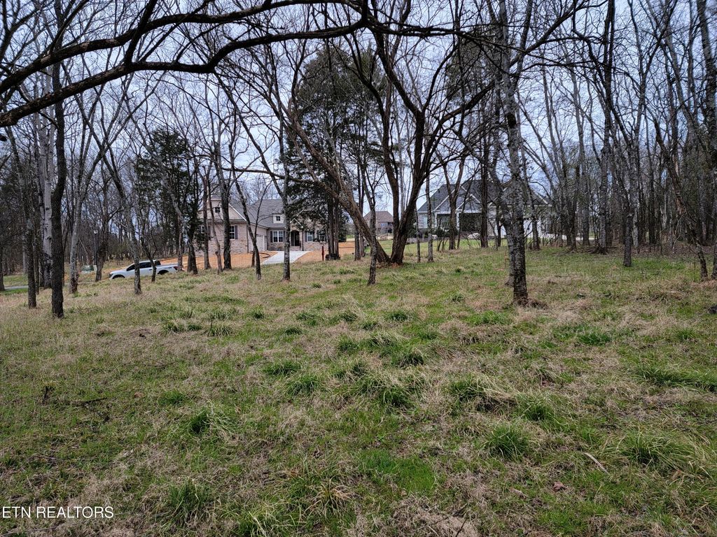 Photo of 104 Kanati Tr, Vonore, TN 37885 (MLS # 1295792)