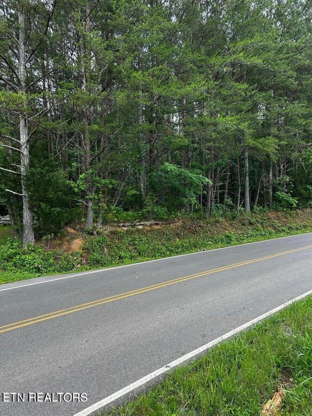 Photo of Ballplay Rd Rd, Madisonville, TN 37354 (MLS # 1283881)