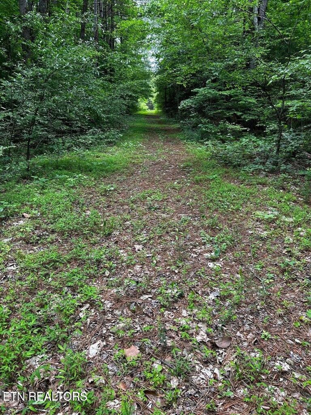 Photo of Ballplay Rd Rd, Madisonville, TN 37354 (MLS # 1283881)