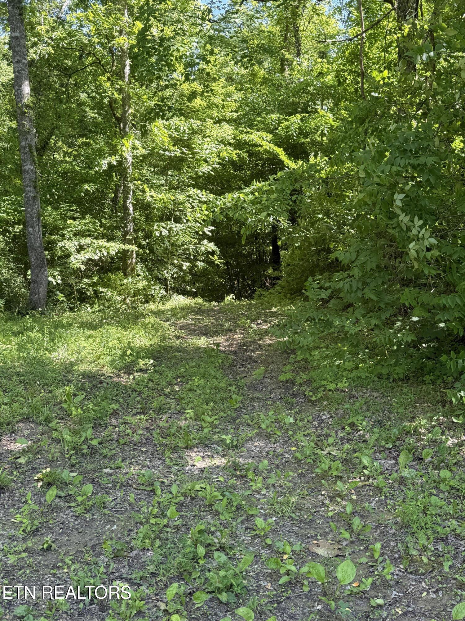 5709 Joe Alder. (43.2 acres) Rd