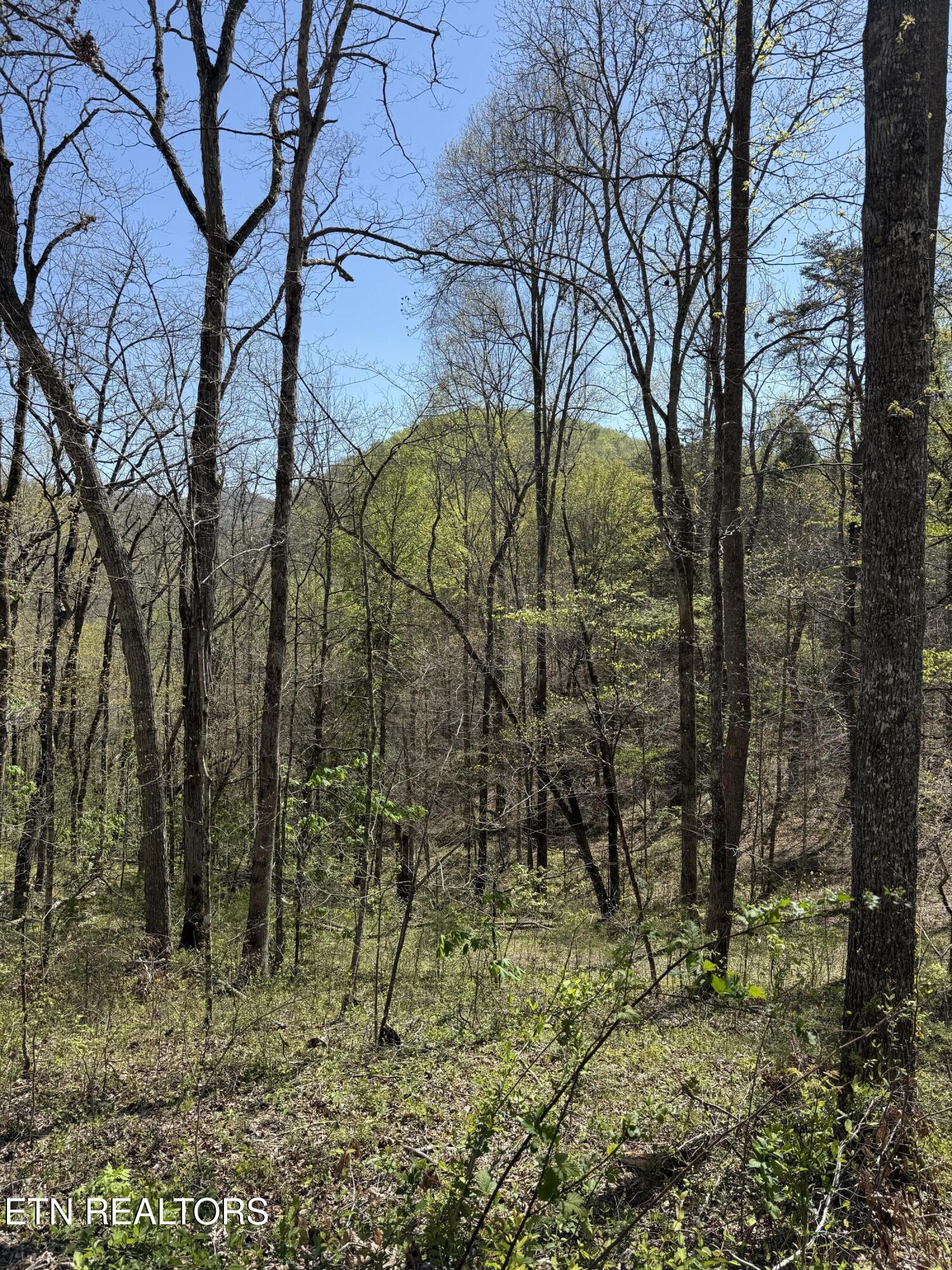 5709 Joe Alder. (43.2 acres) Rd