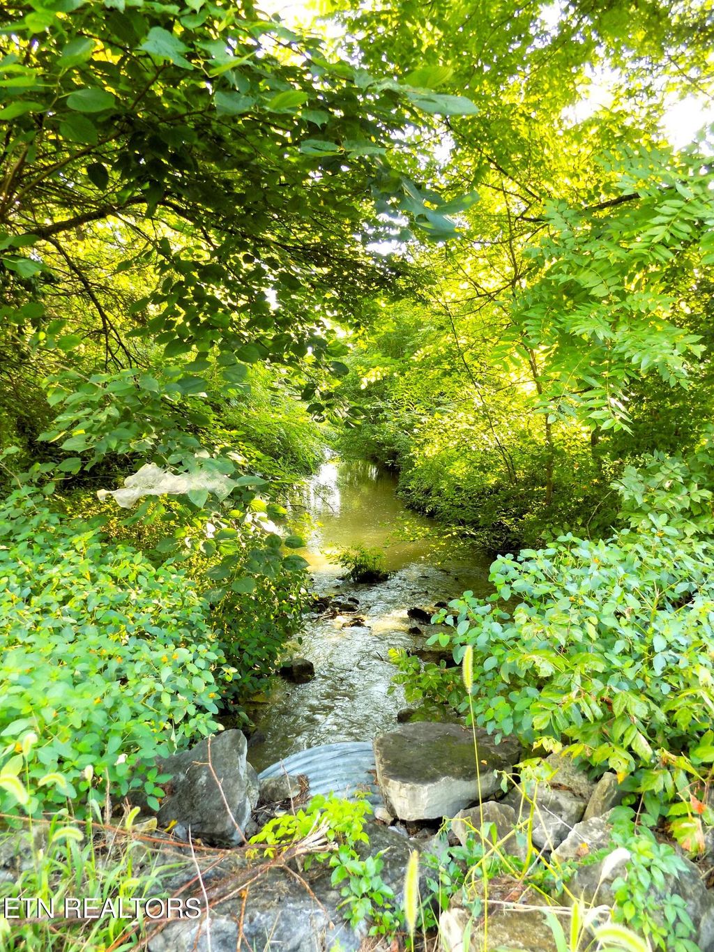 Photo of 1007 Highland Meadows Rd, Jefferson City, TN 37760 (MLS # 1312463)