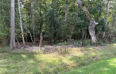 Photo of 212 Lakeview Drive, Crossville, TN 38558 (MLS # 1317977)