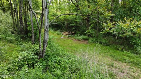 Tiny photo for 32 Ernie Roberts Rd, Rutledge, TN 37861 (MLS # 1339449)