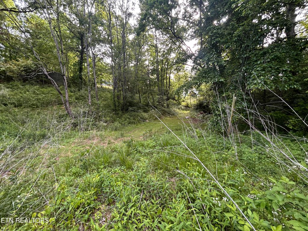 Photo of 32 Ernie Roberts Rd, Rutledge, TN 37861 (MLS # 1339449)