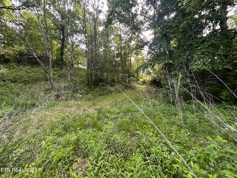 Tiny photo for 32 Ernie Roberts Rd, Rutledge, TN 37861 (MLS # 1339449)