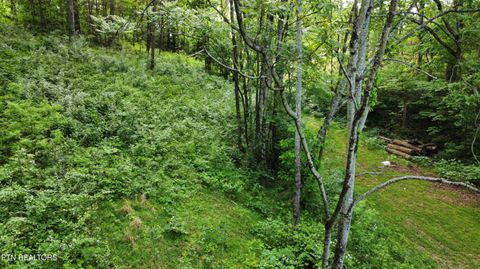 Tiny photo for 32 Ernie Roberts Rd, Rutledge, TN 37861 (MLS # 1339449)