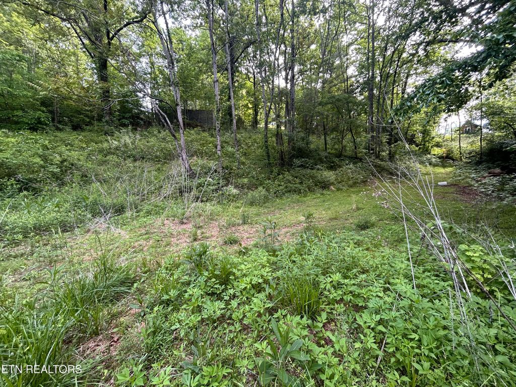 Photo of 32 Ernie Roberts Rd, Rutledge, TN 37861 (MLS # 1339449)
