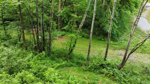 Tiny photo for 32 Ernie Roberts Rd, Rutledge, TN 37861 (MLS # 1339449)
