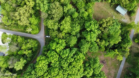 Tiny photo for 32 Ernie Roberts Rd, Rutledge, TN 37861 (MLS # 1339449)