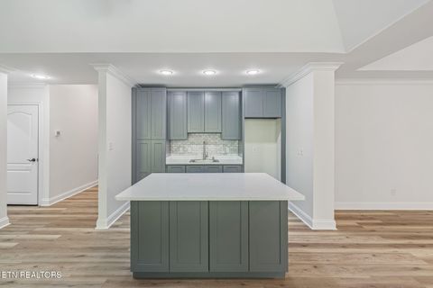 Tiny photo for 1810 Duncan Woods Lane, Knoxville, TN 37919 (MLS # 1335997)