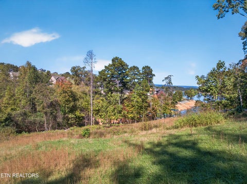Tiny photo for 1945 Lakewood Drive, Morristown, TN 37814 (MLS # 1359622)