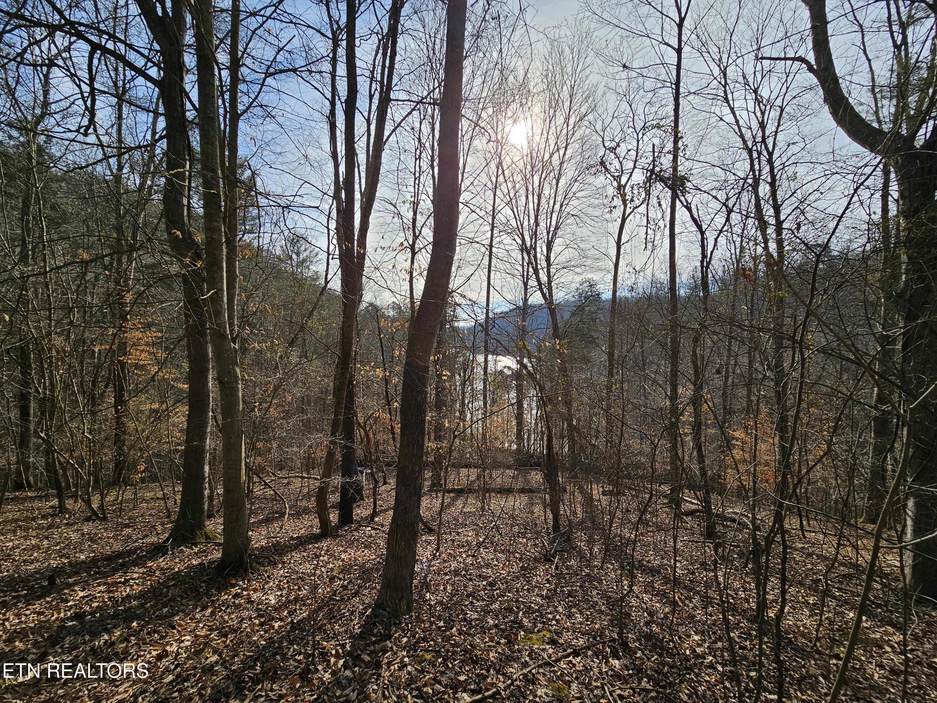 Lot 3 Chapman Lane