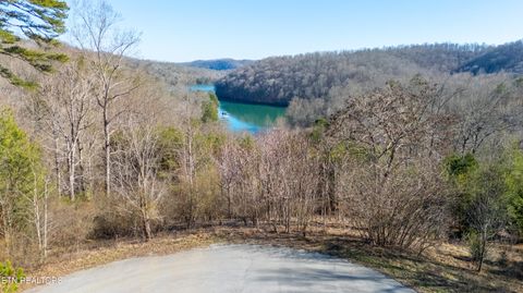 Lot 3 Chapman Lane Jacksboro TN 37757
