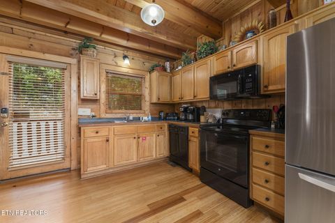 Tiny photo for 1012 Black Bear Cub Way, Sevierville, TN 37862 (MLS # 1298636)