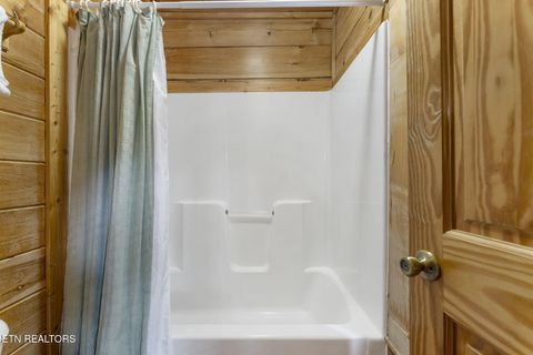 Tiny photo for 1012 Black Bear Cub Way, Sevierville, TN 37862 (MLS # 1298636)