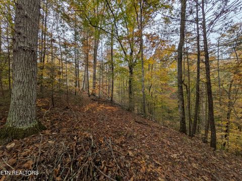 Tiny photo for 517 Clearwater Circle, Townsend, TN 37882 (MLS # 1321511)