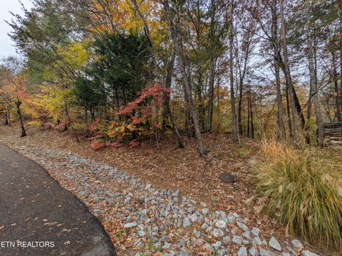 Photo of 517 Clearwater Circle, Townsend, TN 37882 (MLS # 1321511)