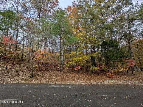 Tiny photo for 517 Clearwater Circle, Townsend, TN 37882 (MLS # 1321511)