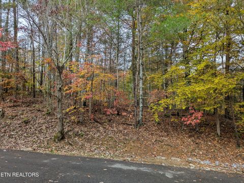 Tiny photo for 517 Clearwater Circle, Townsend, TN 37882 (MLS # 1321511)