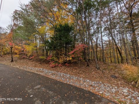 Tiny photo for 517 Clearwater Circle, Townsend, TN 37882 (MLS # 1321511)