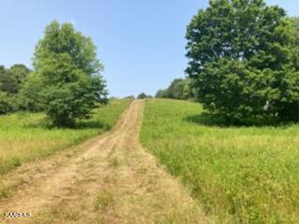 Photo of 1222 Smith School Rd, Strawberry Plains, TN 37871 (MLS # 1229914)