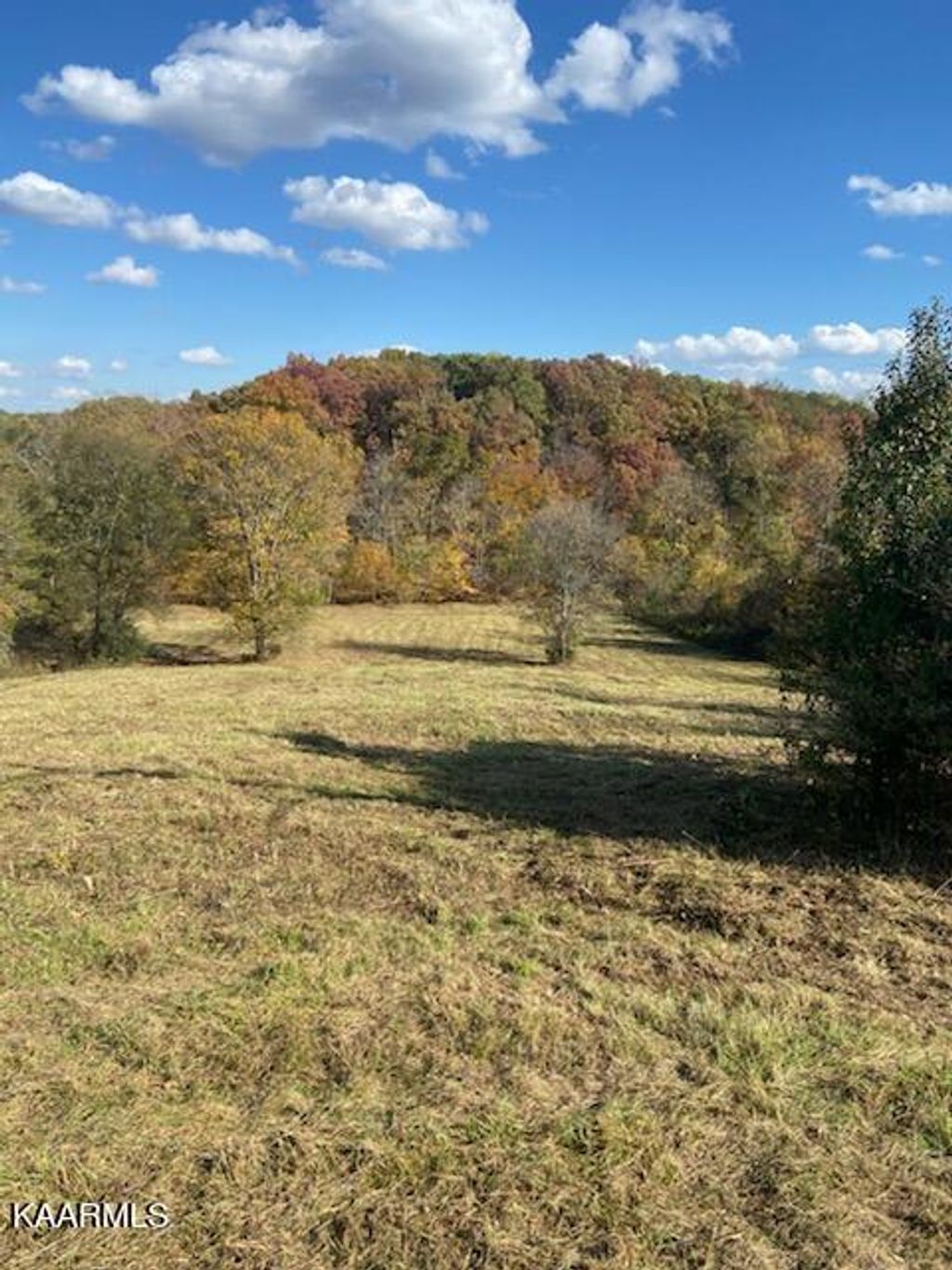 Photo of 1222 Smith School Rd, Strawberry Plains, TN 37871 (MLS # 1229914)