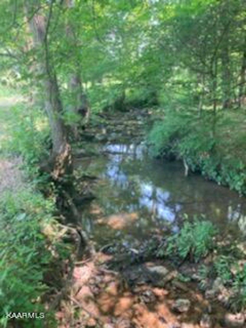 Photo of 1222 Smith School Rd, Strawberry Plains, TN 37871 (MLS # 1229914)