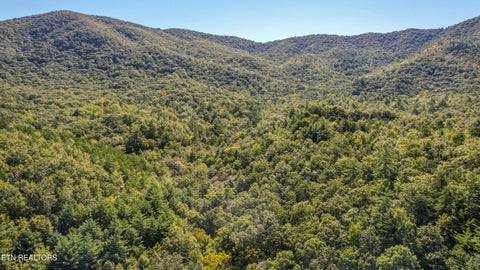 Tiny photo for 201 Old Doc Rogers Rd, Tellico Plains, TN 37385 (MLS # 1357386)
