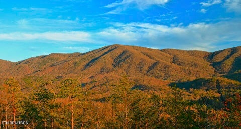 Tiny photo for 201 Old Doc Rogers Rd, Tellico Plains, TN 37385 (MLS # 1357386)