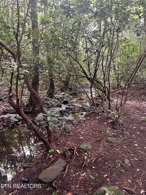 Tiny photo for 201 Old Doc Rogers Rd, Tellico Plains, TN 37385 (MLS # 1357386)
