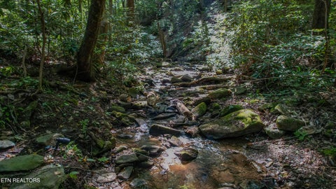 Tiny photo for 201 Old Doc Rogers Rd, Tellico Plains, TN 37385 (MLS # 1357386)