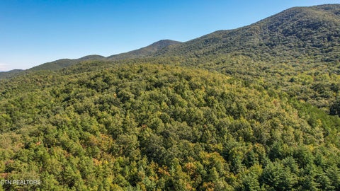 Tiny photo for 201 Old Doc Rogers Rd, Tellico Plains, TN 37385 (MLS # 1357386)
