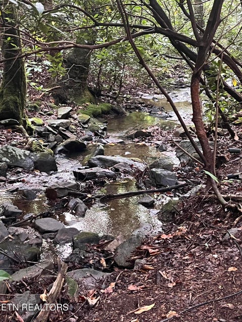 Tiny photo for 201 Old Doc Rogers Rd, Tellico Plains, TN 37385 (MLS # 1357386)