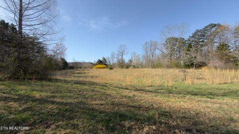 Tiny photo for 577 Blizzard Mines Rd, Harriman, TN 37748 (MLS # 1332279)