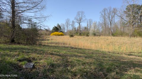 Tiny photo for 577 Blizzard Mines Rd, Harriman, TN 37748 (MLS # 1332279)