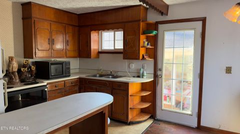 Tiny photo for 577 Blizzard Mines Rd, Harriman, TN 37748 (MLS # 1332279)