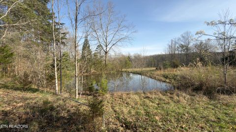 Tiny photo for 577 Blizzard Mines Rd, Harriman, TN 37748 (MLS # 1332279)