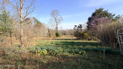 Tiny photo for 577 Blizzard Mines Rd, Harriman, TN 37748 (MLS # 1332279)