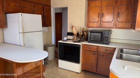 Tiny photo for 577 Blizzard Mines Rd, Harriman, TN 37748 (MLS # 1332279)