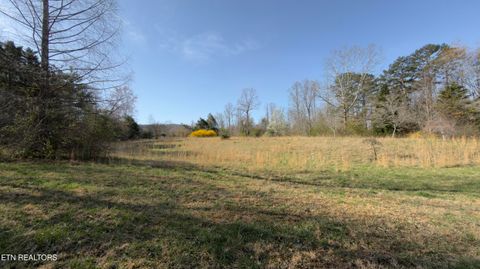 Tiny photo for 577 Blizzard Mines Rd, Harriman, TN 37748 (MLS # 1332279)