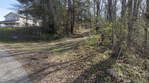 Tiny photo for 577 Blizzard Mines Rd, Harriman, TN 37748 (MLS # 1332279)