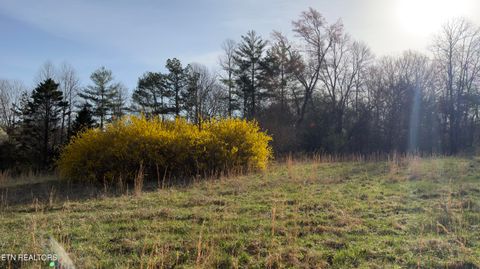 Tiny photo for 577 Blizzard Mines Rd, Harriman, TN 37748 (MLS # 1332279)